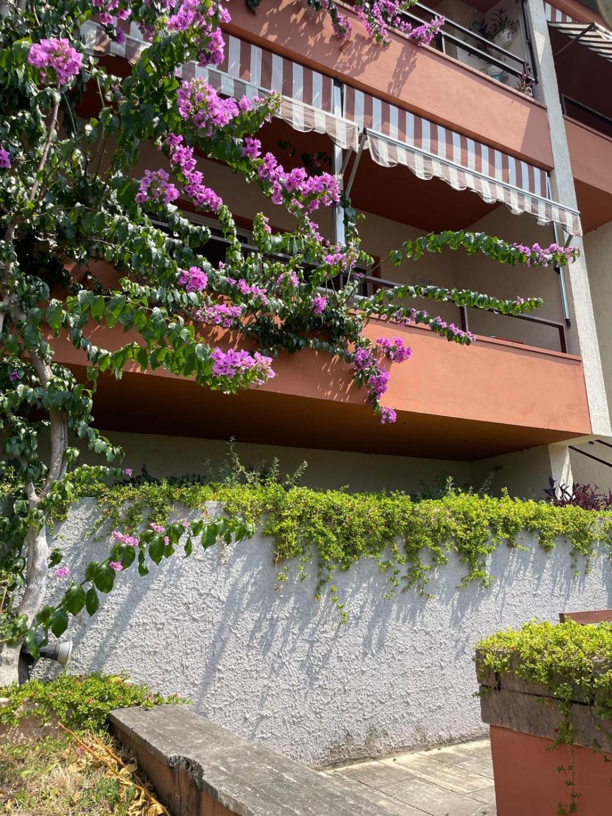 Residence Kormorano Malcesine Bagian luar foto